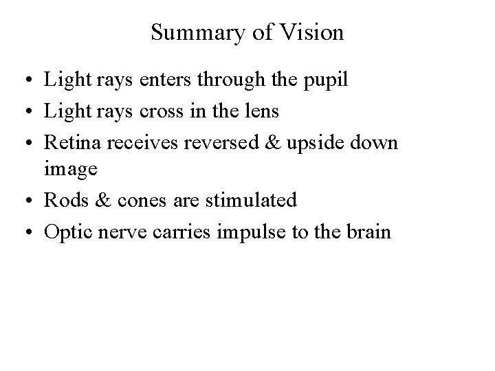 Summary of Vision • Light rays enters through the pupil • Light rays cross