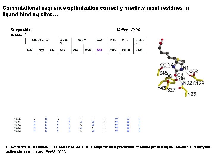 Computational sequence optimization correctly predicts most residues in ligand-binding sites… Streptavidin Native – 10.