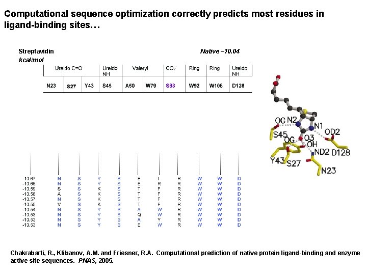 Computational sequence optimization correctly predicts most residues in ligand-binding sites… Streptavidin Native – 10.