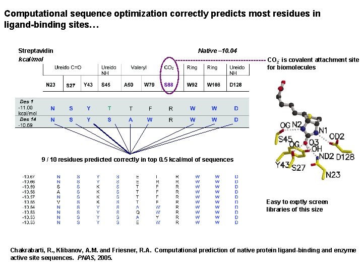 Computational sequence optimization correctly predicts most residues in ligand-binding sites… Streptavidin Native – 10.