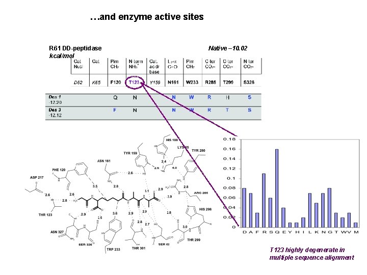 …and enzyme active sites R 61 DD-peptidase Native – 10. 02 kcal/mol High MSA