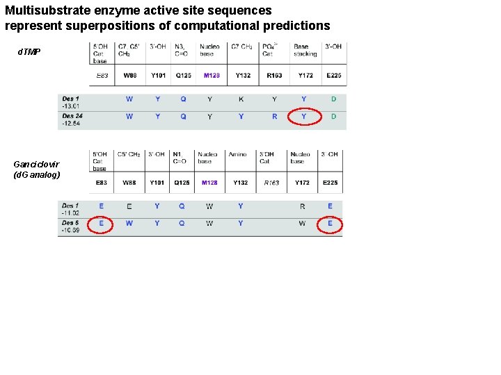 Multisubstrate enzyme active site sequences represent superpositions of computational predictions d. TMP Ganciclovir (d.