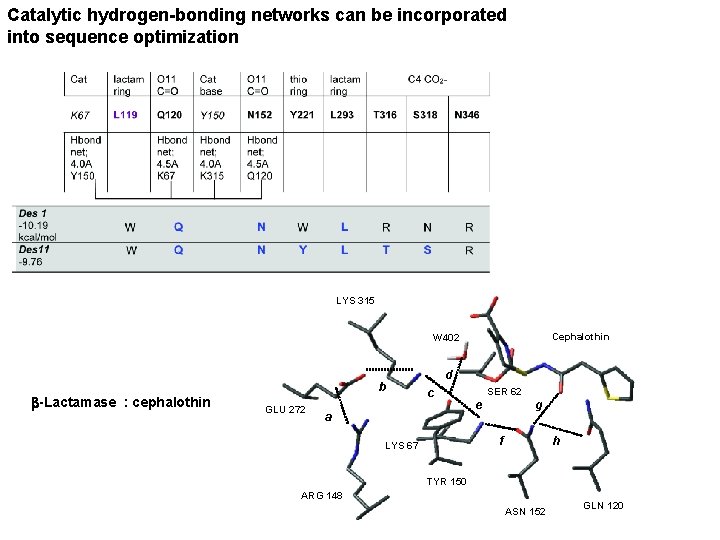 Catalytic hydrogen-bonding networks can be incorporated into sequence optimization GLU 272 LYS 315 Cephalothin