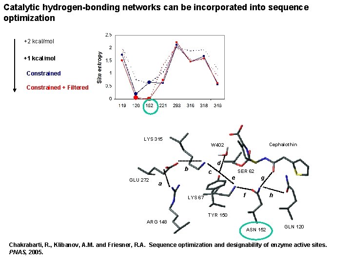 Catalytic hydrogen-bonding networks can be incorporated into sequence optimization +2 kcal/mol +1 kcal/mol Constrained