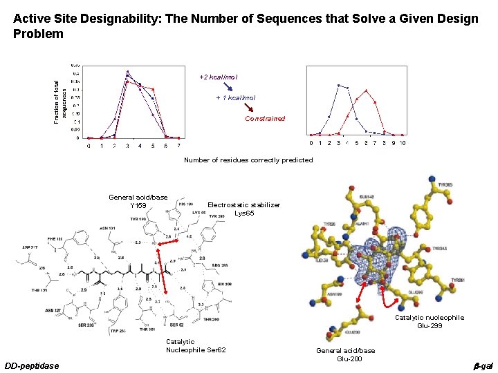 Active Site Designability: The Number of Sequences that Solve a Given Design Problem +2