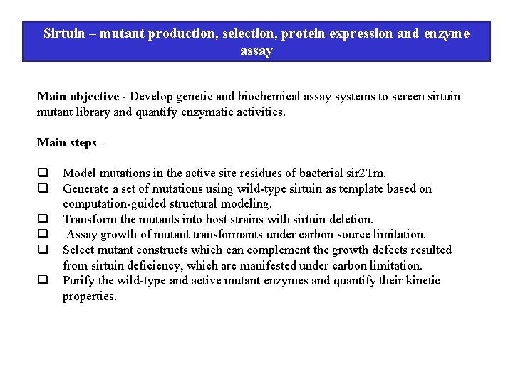 Sirtuin – mutant production, selection, protein expression and enzyme assay Main objective - Develop