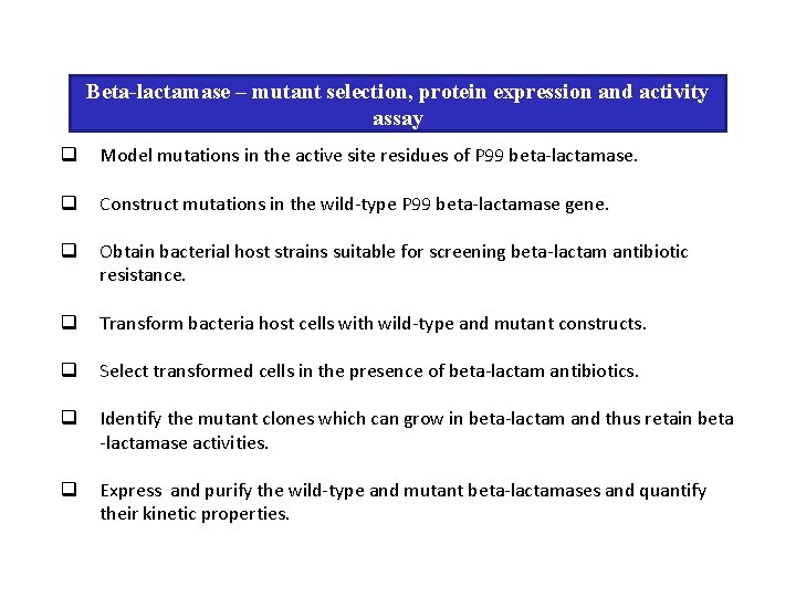 Beta-lactamase – mutant selection, protein expression and activity assay q Model mutations in the