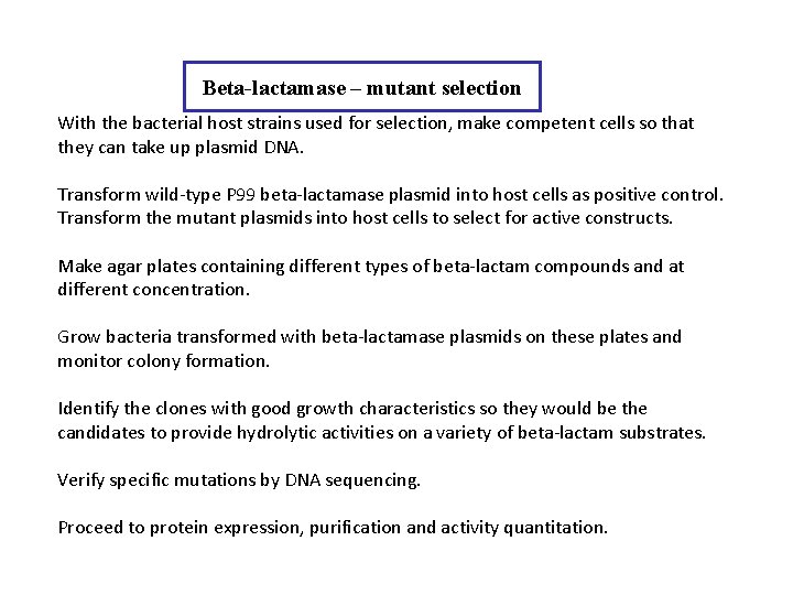 Beta-lactamase – mutant selection With the bacterial host strains used for selection, make competent