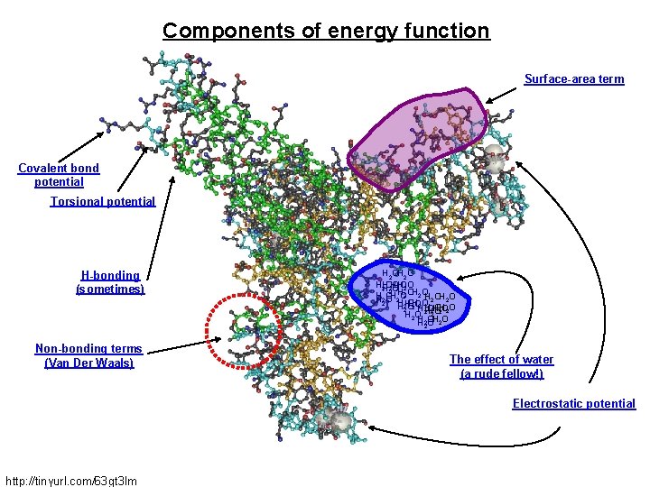 Components of energy function Surface-area term Covalent bond potential Torsional potential H-bonding (sometimes) H