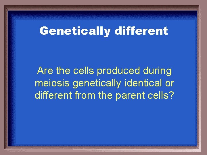 Genetically different Are the cells produced during meiosis genetically identical or different from the