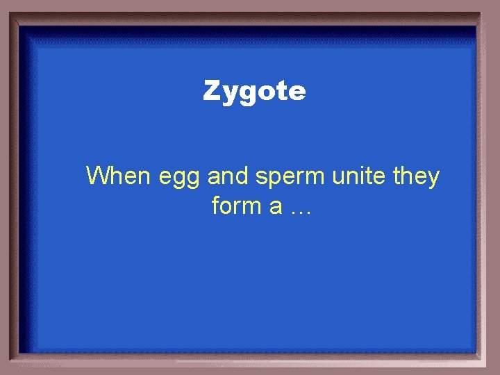 Zygote When egg and sperm unite they form a … 