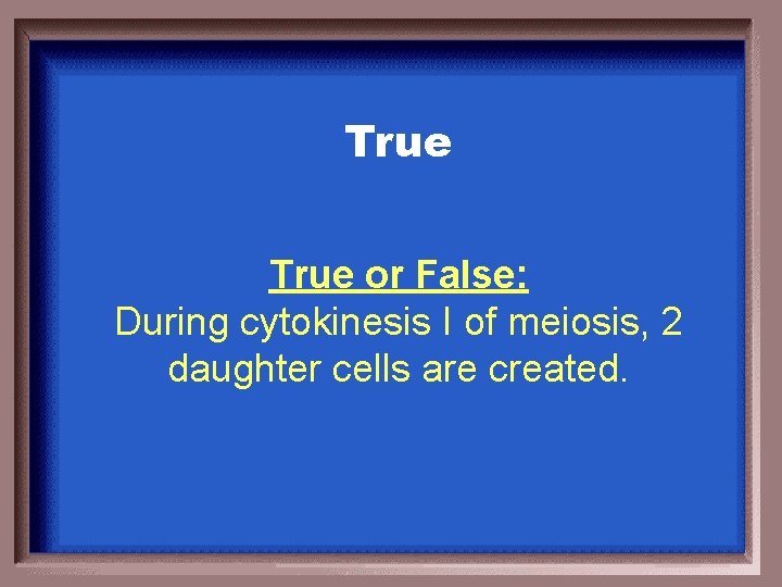 True or False: During cytokinesis I of meiosis, 2 daughter cells are created. 