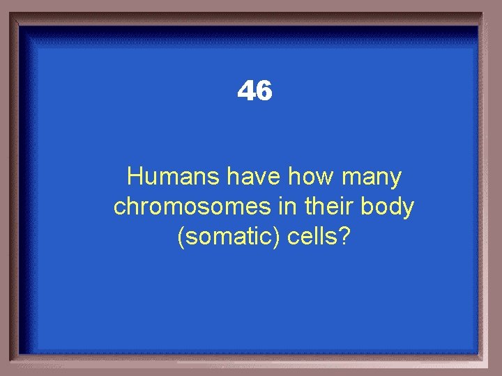 46 Humans have how many chromosomes in their body (somatic) cells? 