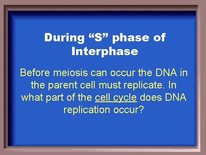 During “S” phase of Interphase Before meiosis can occur the DNA in the parent