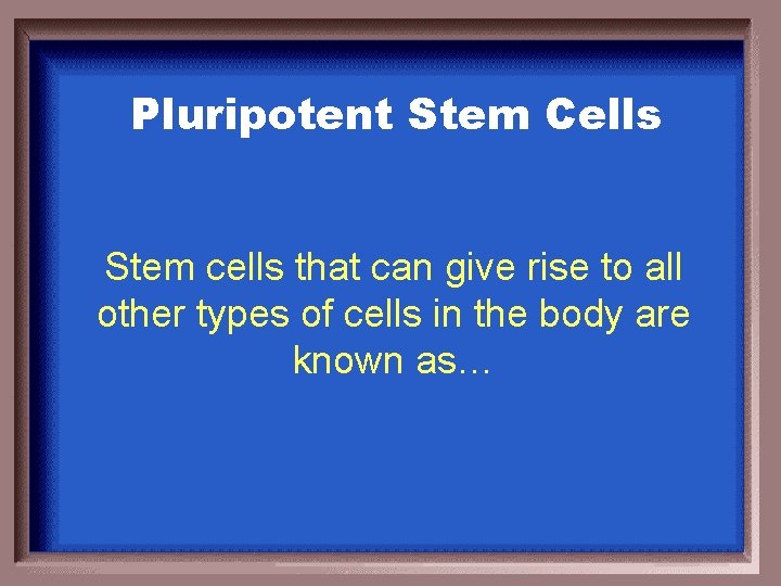 Pluripotent Stem Cells Stem cells that can give rise to all other types of