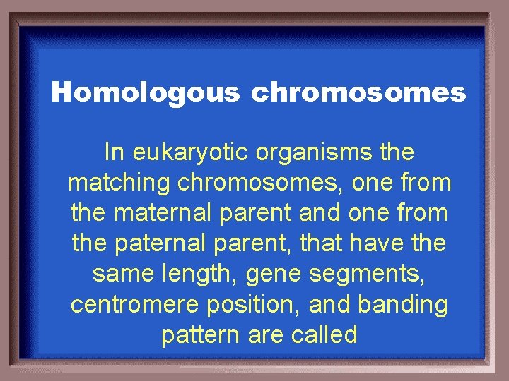 Homologous chromosomes In eukaryotic organisms the matching chromosomes, one from the maternal parent and