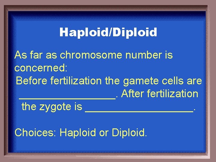 Haploid/Diploid As far as chromosome number is concerned: Before fertilization the gamete cells are