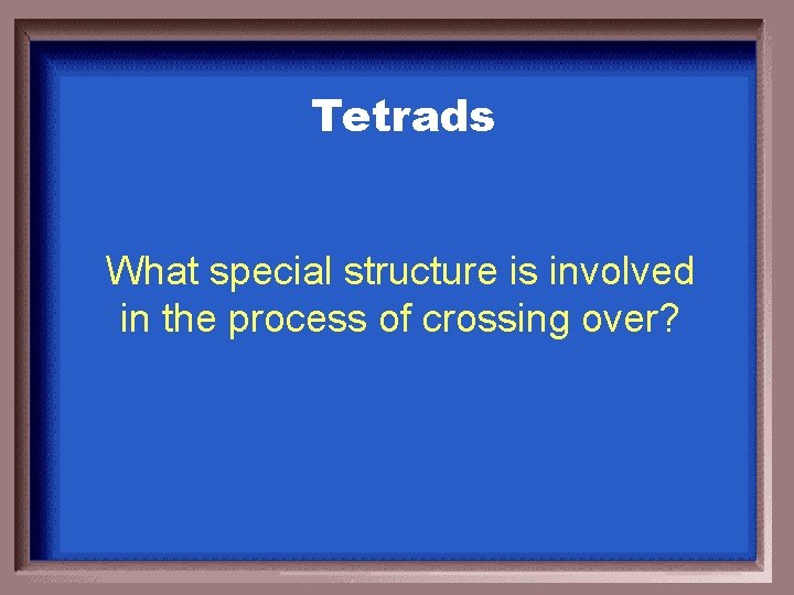 Tetrads What special structure is involved in the process of crossing over? 