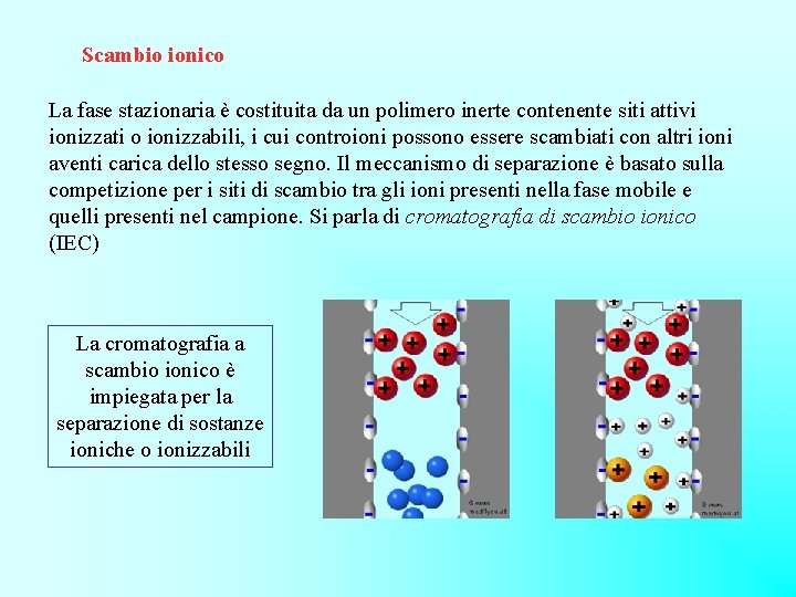 Scambio ionico La fase stazionaria è costituita da un polimero inerte contenente siti attivi