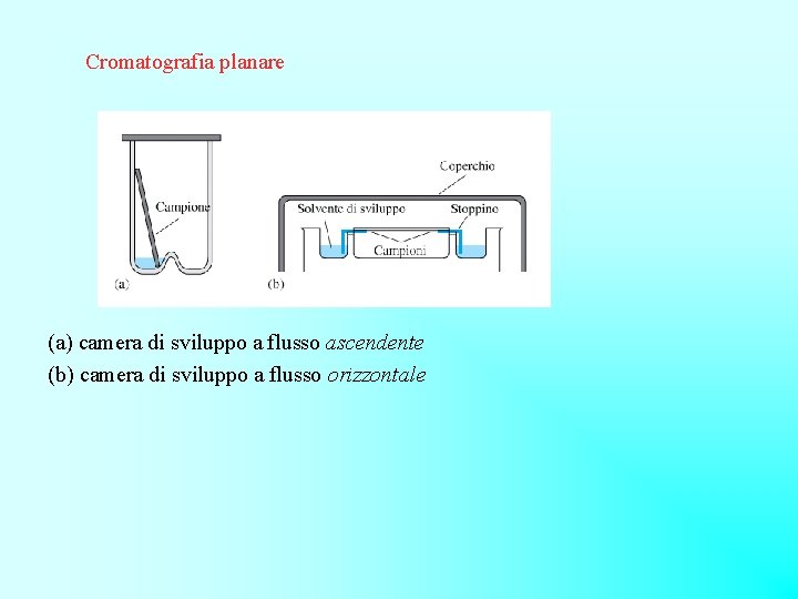 Cromatografia planare (a) camera di sviluppo a flusso ascendente (b) camera di sviluppo a