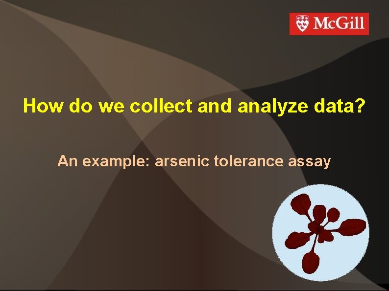 How do we collect and analyze data? An example: arsenic tolerance assay 