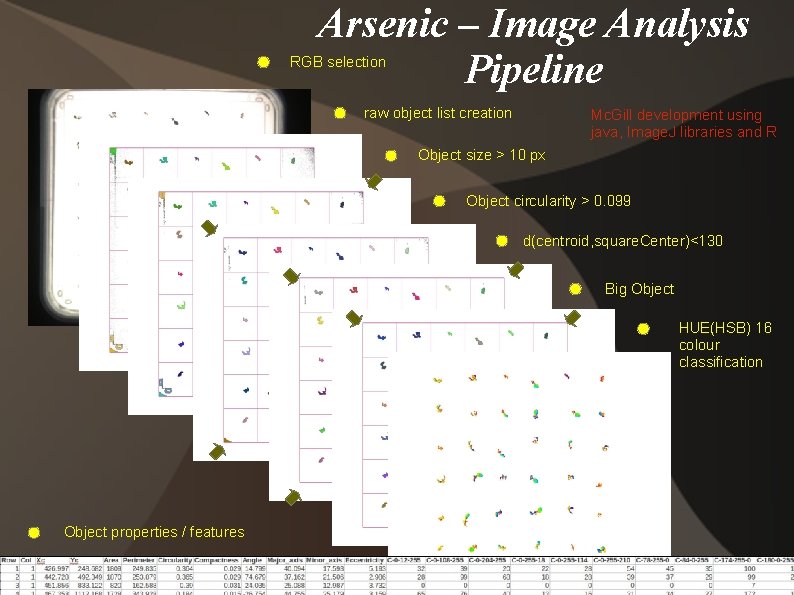 Arsenic – Image Analysis Pipeline RGB selection raw object list creation Mc. Gill development