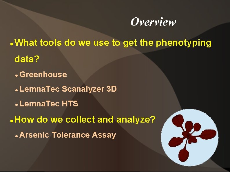 Overview What tools do we use to get the phenotyping data? Greenhouse Lemna. Tec