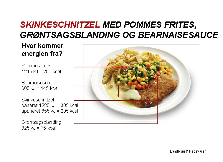 SKINKESCHNITZEL MED POMMES FRITES, GRØNTSAGSBLANDING OG BEARNAISESAUCE Hvor kommer energien fra? Pommes frites 1215