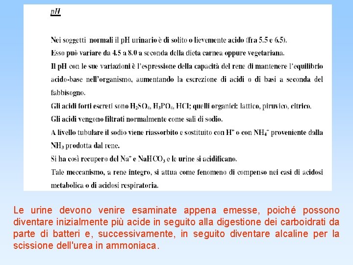 Le urine devono venire esaminate appena emesse, poiché possono diventare inizialmente più acide in