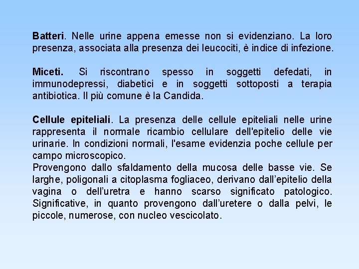 Batteri. Nelle urine appena emesse non si evidenziano. La loro presenza, associata alla presenza
