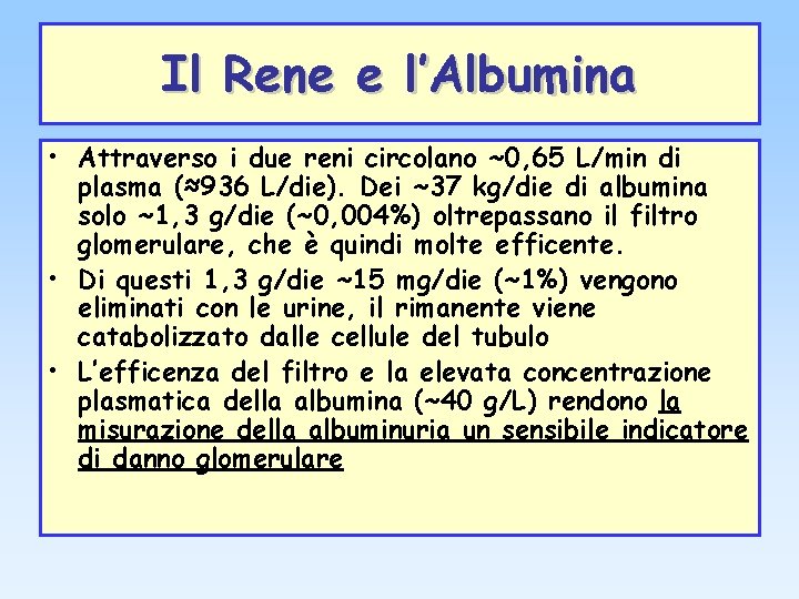 Il Rene e l’Albumina • Attraverso i due reni circolano ~0, 65 L/min di