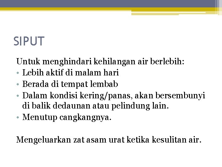 SIPUT Untuk menghindari kehilangan air berlebih: • Lebih aktif di malam hari • Berada