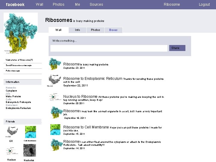 facebook Wall Photos Me Sources Ribosomes is busy making proteins Wall Info Photos Boxes