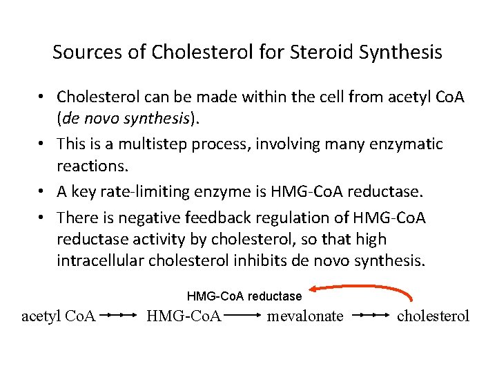 Sources of Cholesterol for Steroid Synthesis • Cholesterol can be made within the cell