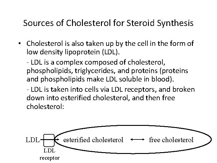 Sources of Cholesterol for Steroid Synthesis • Cholesterol is also taken up by the
