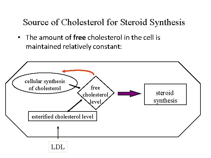 Source of Cholesterol for Steroid Synthesis • The amount of free cholesterol in the