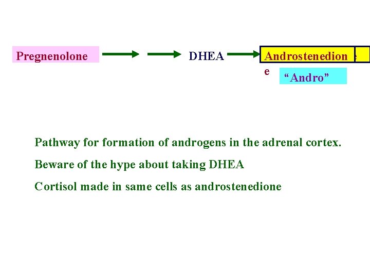 Pregnenolone DHEA Androstenedione e “Andro” Pathway formation of androgens in the adrenal cortex. Beware