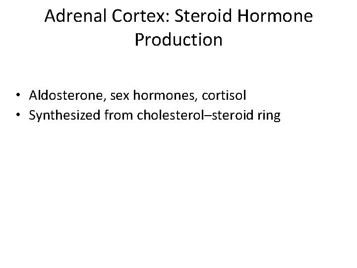 Adrenal Cortex: Steroid Hormone Production • Aldosterone, sex hormones, cortisol • Synthesized from cholesterol–steroid