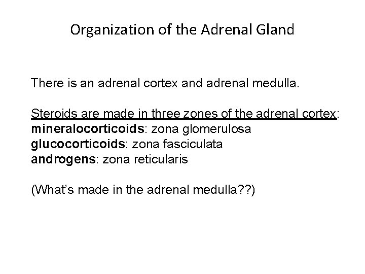Organization of the Adrenal Gland There is an adrenal cortex and adrenal medulla. Steroids