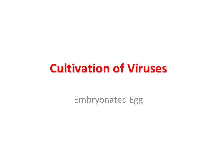 Cultivation of Viruses Embryonated Egg 