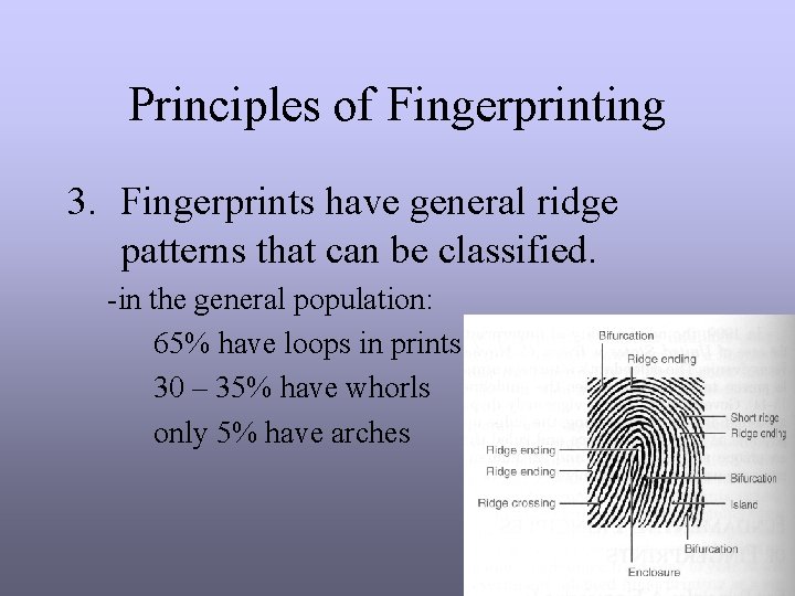 Principles of Fingerprinting 3. Fingerprints have general ridge patterns that can be classified. -in