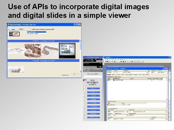 Use of APIs to incorporate digital images and digital slides in a simple viewer