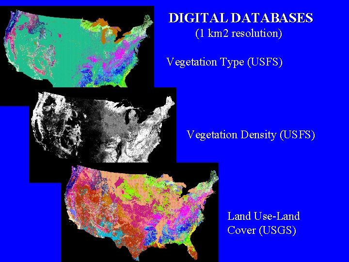 DIGITAL DATABASES (1 km 2 resolution) Vegetation Type (USFS) Vegetation Density (USFS) Land Use-Land