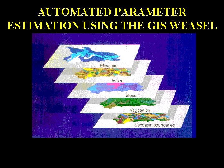 AUTOMATED PARAMETER ESTIMATION USING THE GIS WEASEL 