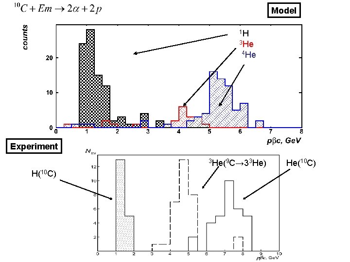 Model 1 Н 3 He 4 He Experiment 3 He(9 C→ 33 He) H(10