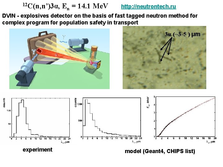 12 C(n, n’)3α, En = 14. 1 Me. V http: //neutrontech. ru DVIN -