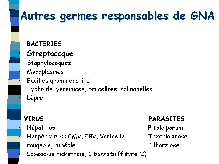 Autres germes responsables de GNA BACTERIES • Streptocoque • • • Staphylocoques Mycoplasmes Bacilles