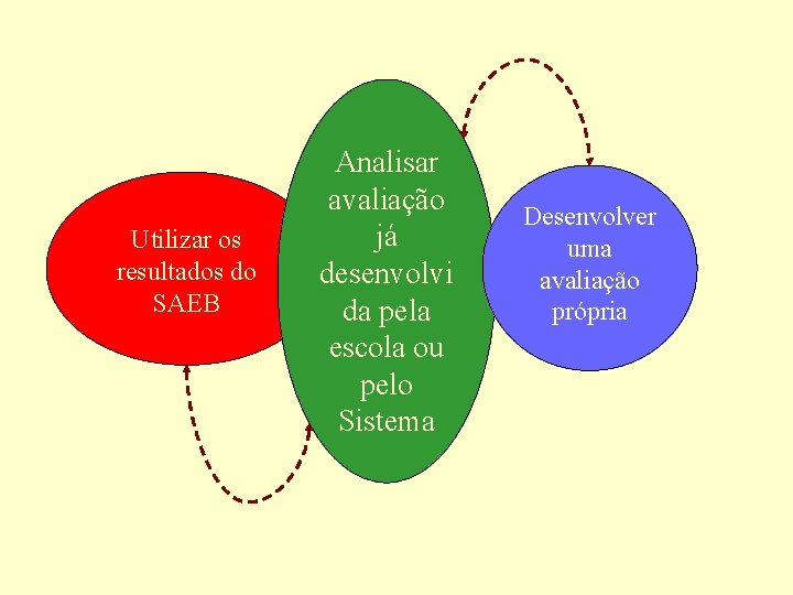 Utilizar os resultados do SAEB Analisar avaliação já desenvolvi da pela escola ou pelo