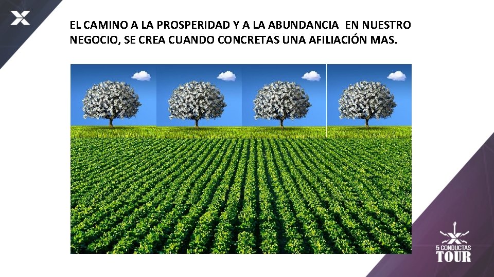 EL CAMINO A LA PROSPERIDAD Y A LA ABUNDANCIA EN NUESTRO NEGOCIO, SE CREA