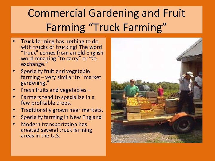 Commercial Gardening and Fruit Farming “Truck Farming” • Truck farming has nothing to do